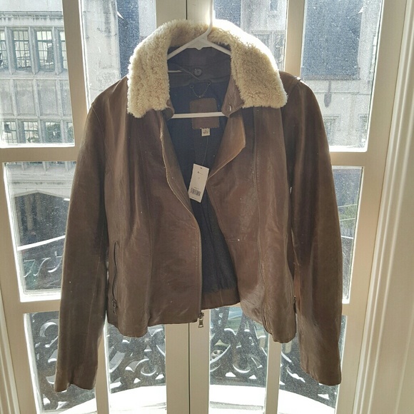 Karl Lagerfeld, Banana, Bebe, Gap: various jackets - Picture 5 of 8